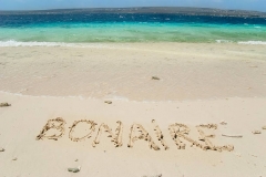 Shoreline of the island Klein (little) Bonaire, former Netherlands Antilles.